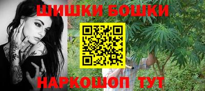 МДПВ Бердск
