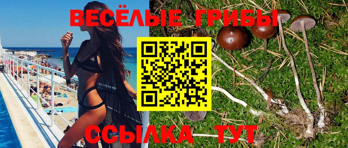 Псилоцибиновые грибы прущие грибы  Вход с VPN  Богородск 