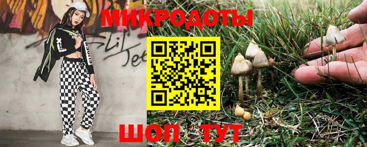 Псилоцибиновые грибы Cubensis Богородск